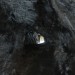 mini-IMG_1380
